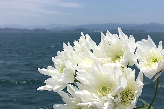 海洋散骨について